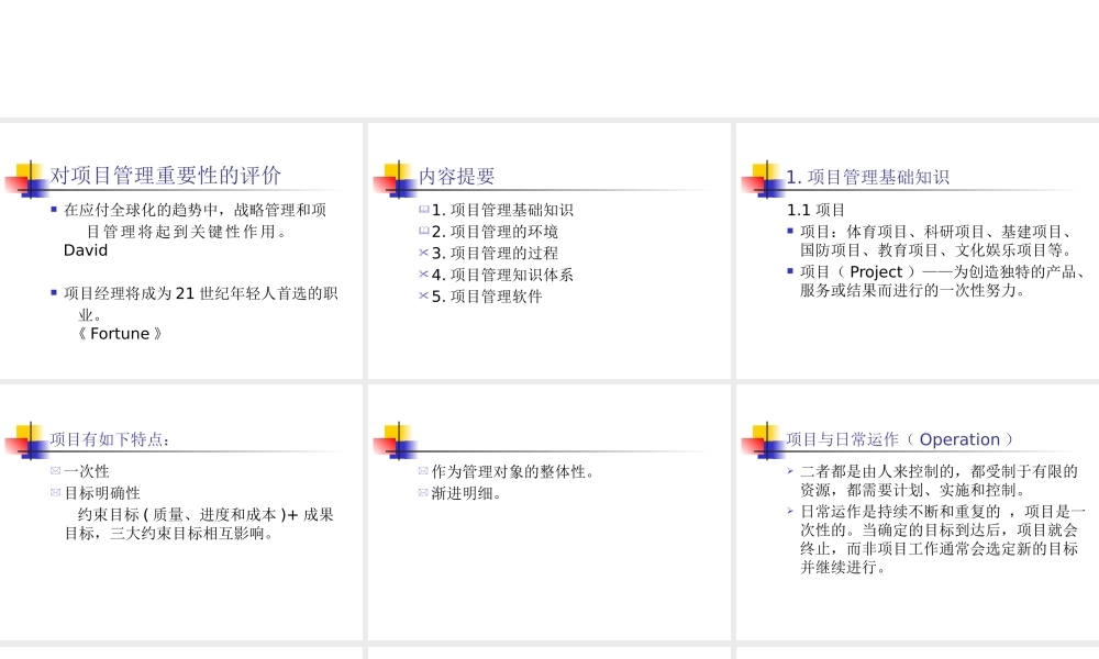 《思念食品项目管理培训》