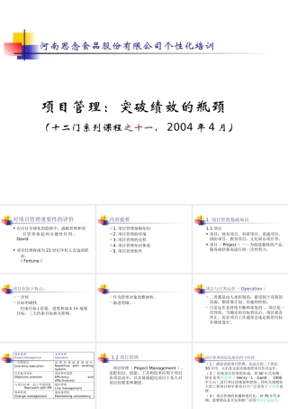 《思念食品项目管理培训》