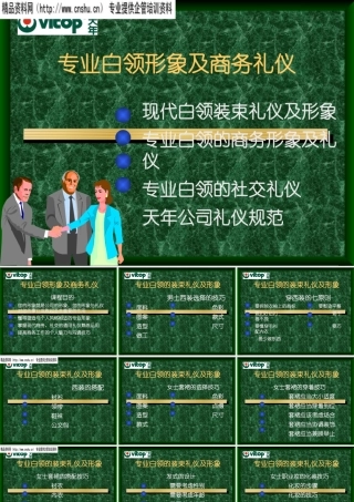 专业白领形象及商务礼仪(1)