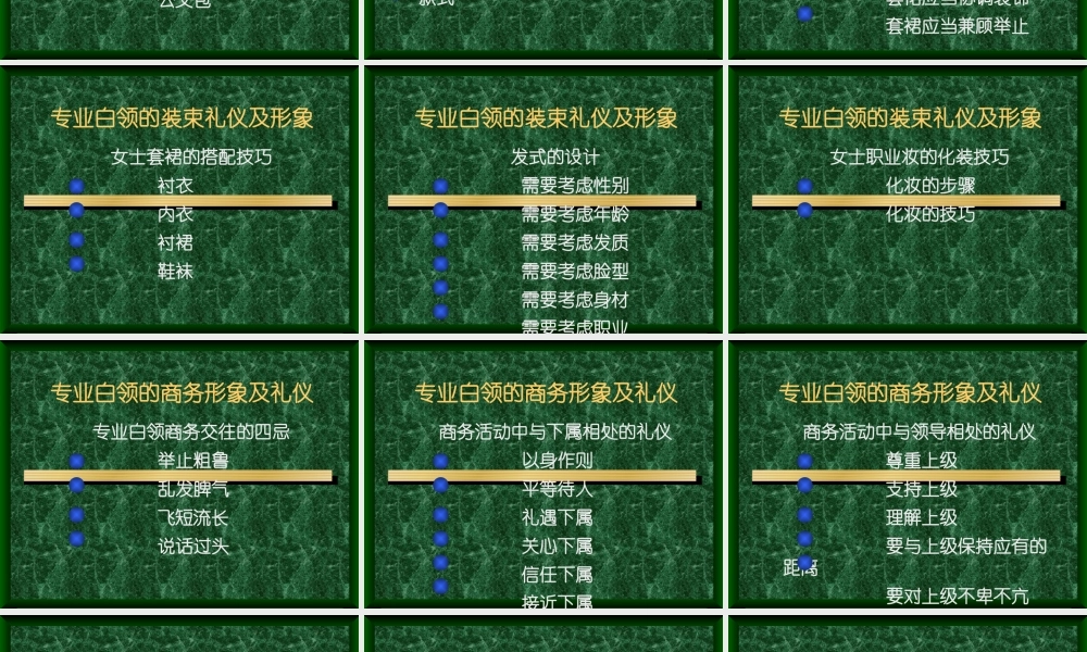 专业白领形象及商务礼仪
