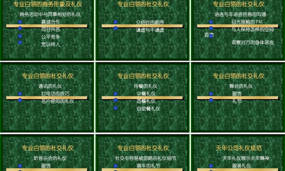 专业白领形象及商务礼仪