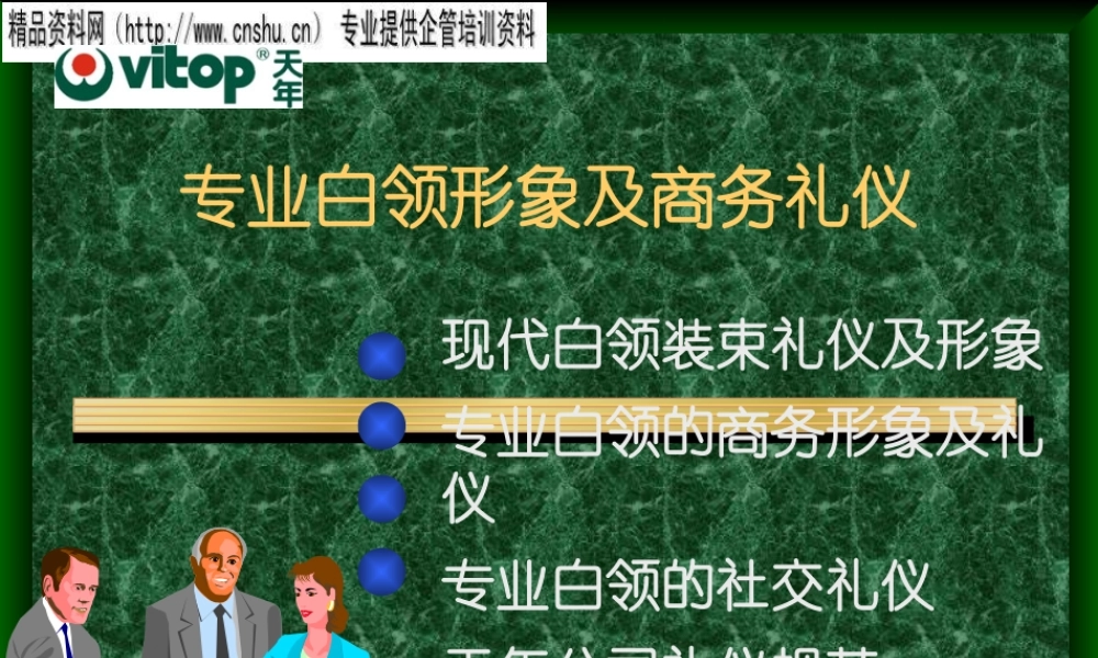 专业白领形象及商务礼仪讲义