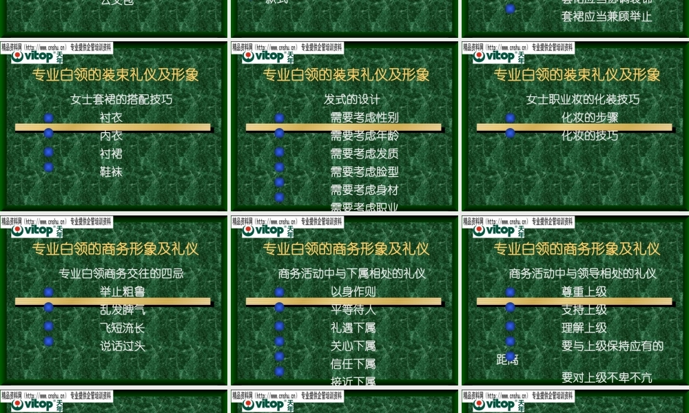 专业白领形象及商务礼仪讲义