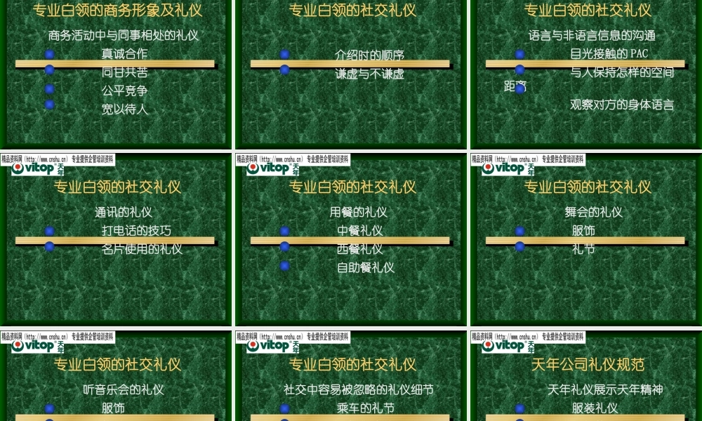 专业白领形象及商务礼仪讲义