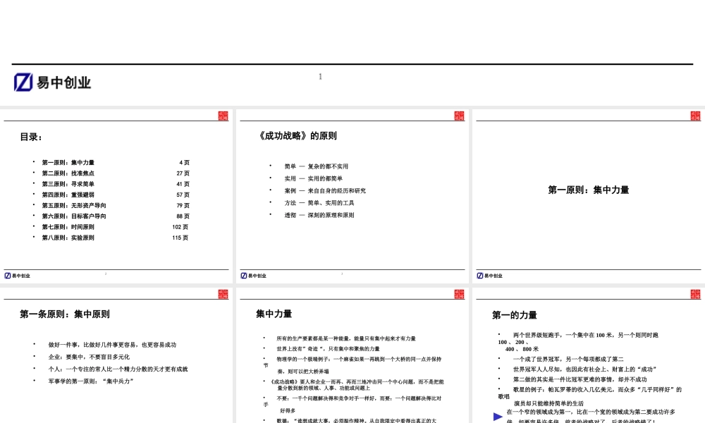 《宋新宇_成功战略》