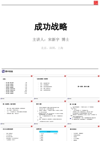 《宋新宇_成功战略》