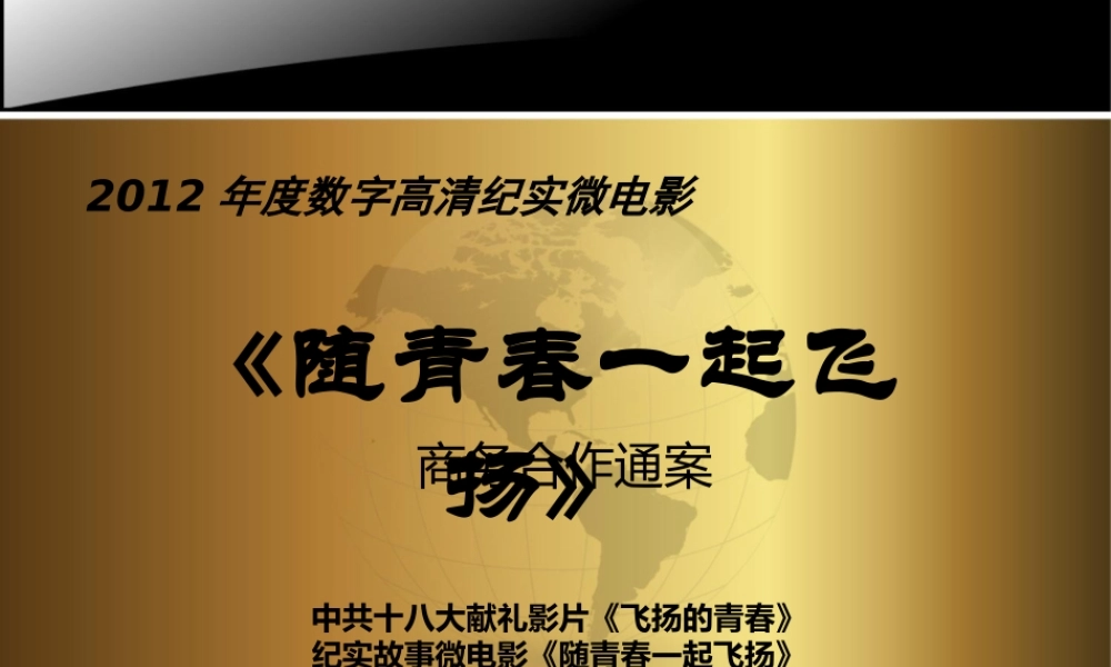 《随青春一起飞扬》植入广告招商方案