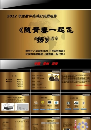 《随青春一起飞扬》植入广告招商方案