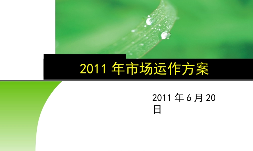 XXXX年市场运作方案(6月版)最终