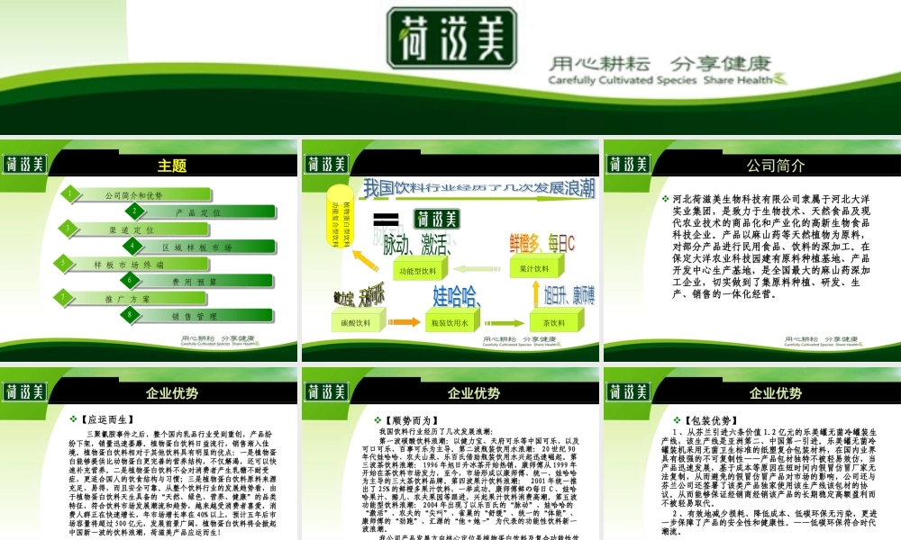 XXXX年市场运作方案(6月版)最终