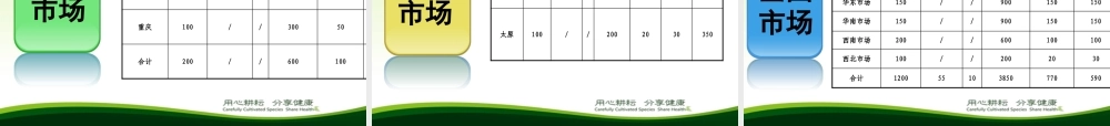 XXXX年市场运作方案(6月版)最终
