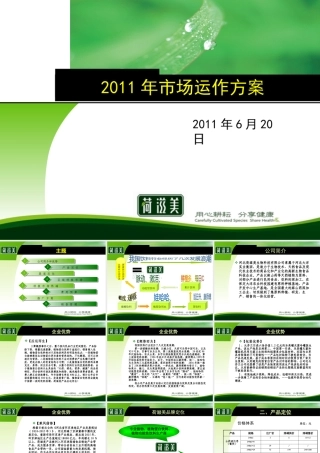 XXXX年市场运作方案(6月版)最终