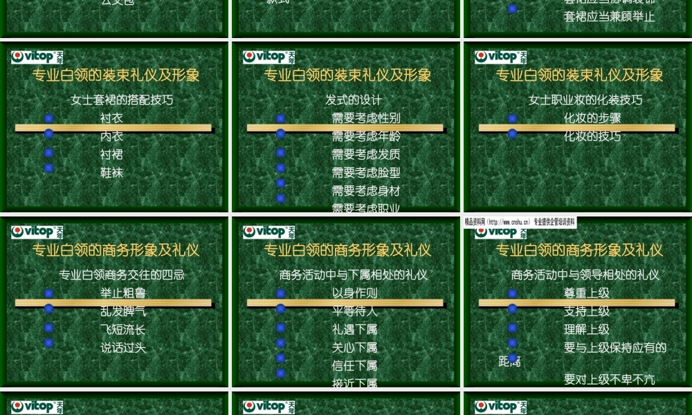 专业白领形象与商务礼仪(ppt 30页)