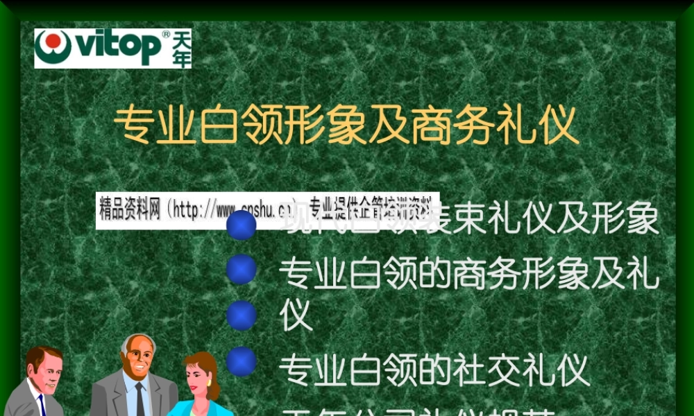 专业白领形象与商务礼仪综述