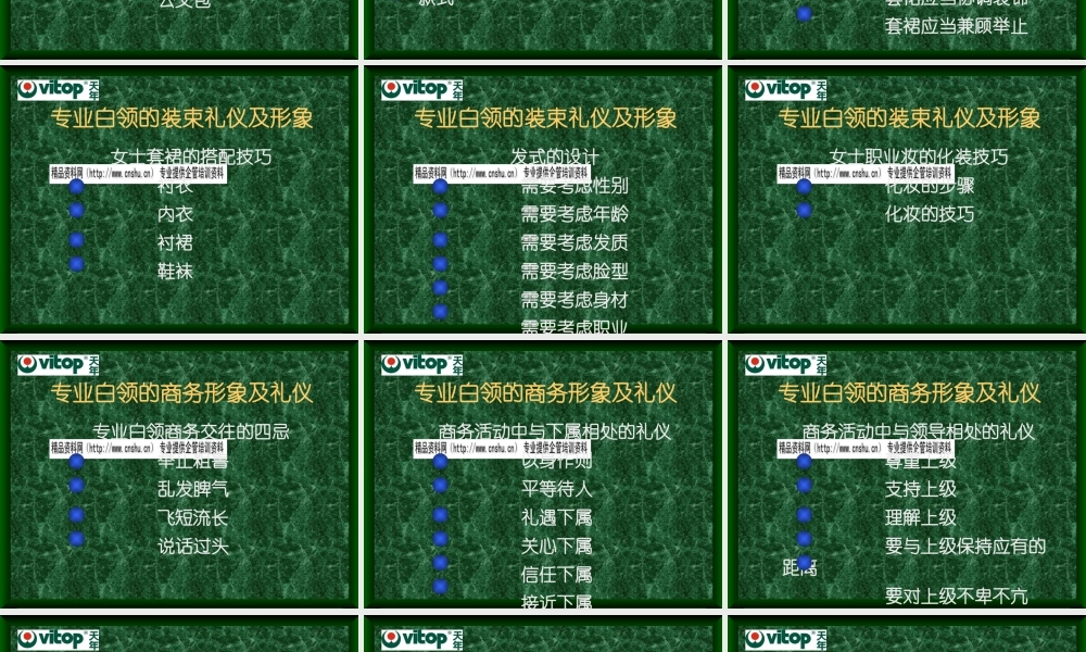 专业白领形象与商务礼仪综述