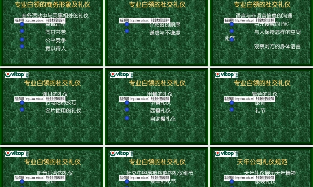 专业白领形象与商务礼仪综述