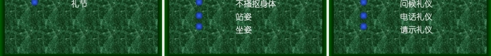 专业白领形象与商务礼仪综述