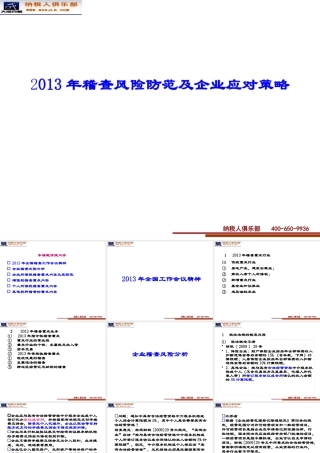 XXXX年税务稽查风险防范和企业应对策略