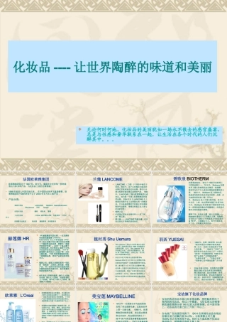 专业百货招商知识之--化妆品品牌资料汇编