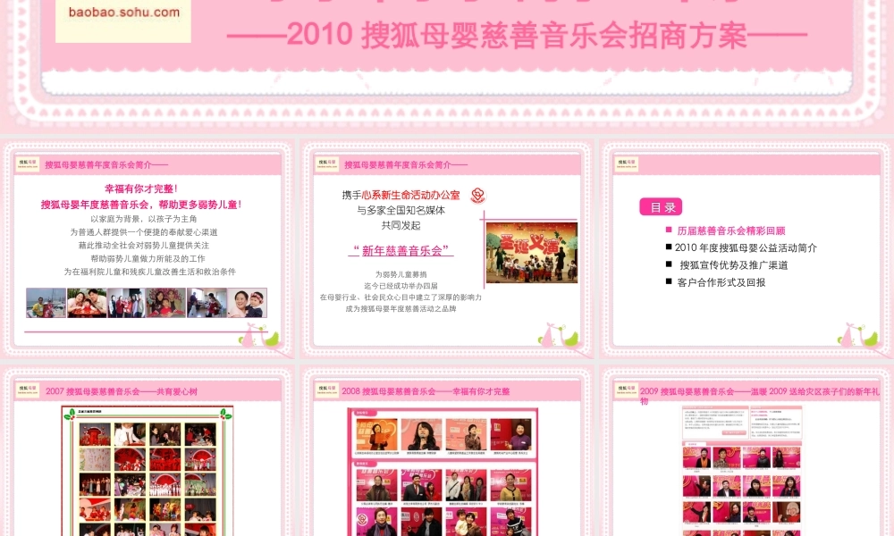XXXX年搜狐母婴慈善音乐会招商方案