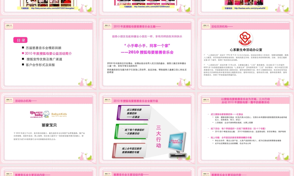 XXXX年搜狐母婴慈善音乐会招商方案