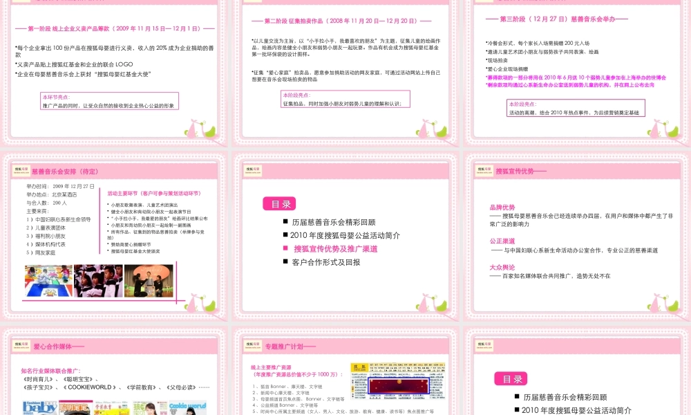 XXXX年搜狐母婴慈善音乐会招商方案