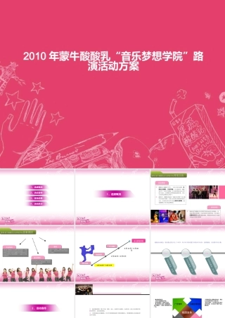 XXXX年酸酸路演执行方案1821