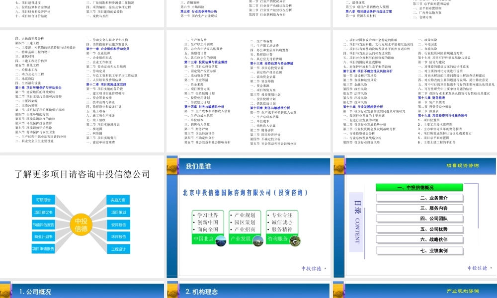 专业编写项目申请报告
