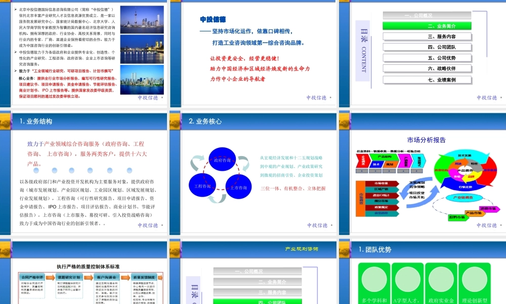 专业编写项目申请报告