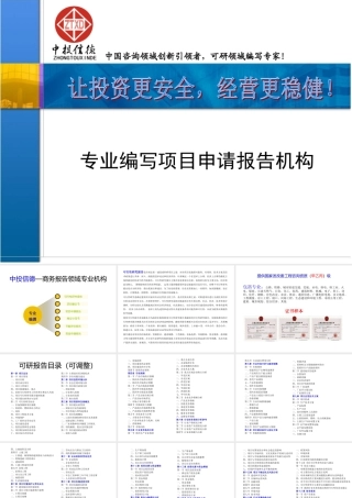 专业编写项目申请报告