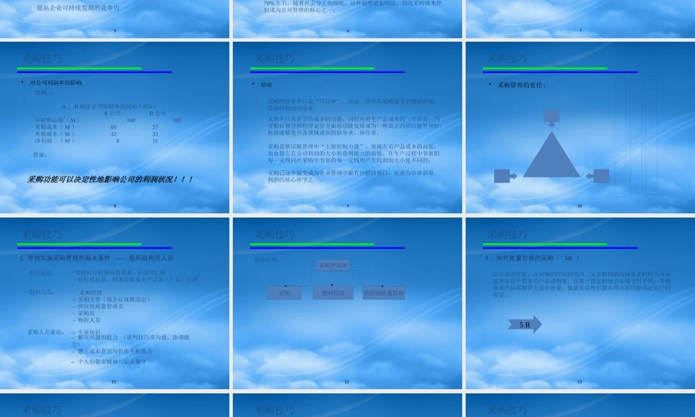 专业采购技术与谈判策略
