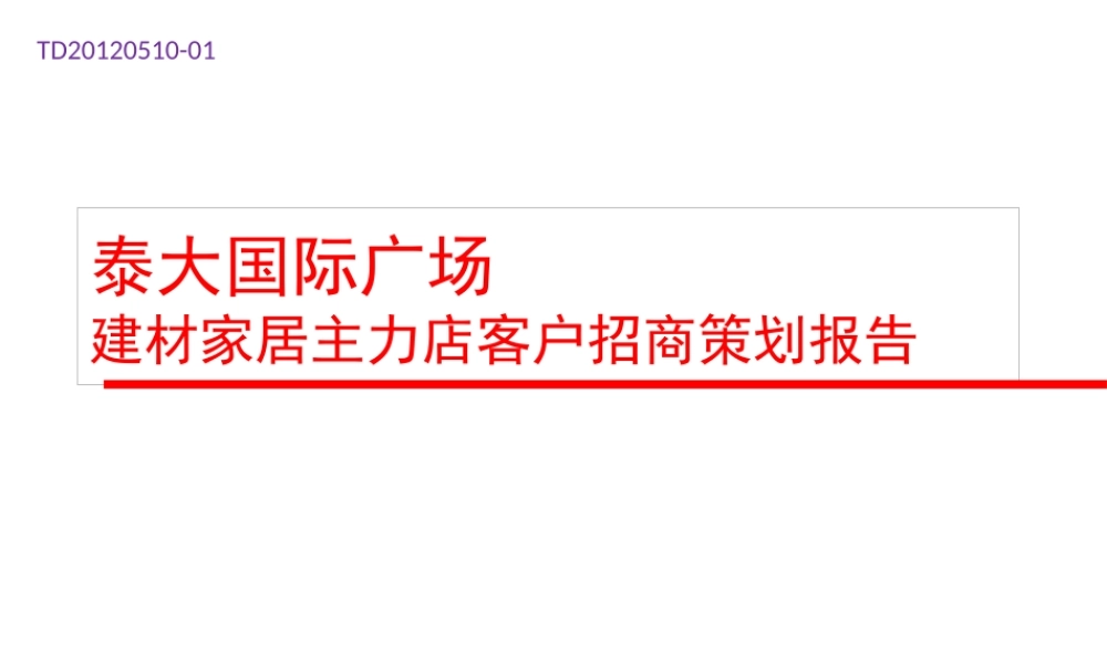 XXXX年泰大国际广场建材家居主力店客户招商策划报告(39