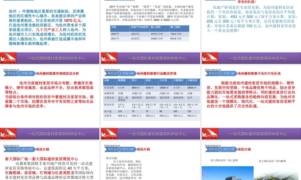 XXXX年泰大国际广场建材家居主力店客户招商策划报告(39