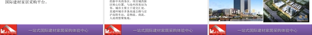 XXXX年泰大国际广场建材家居主力店客户招商策划报告(39