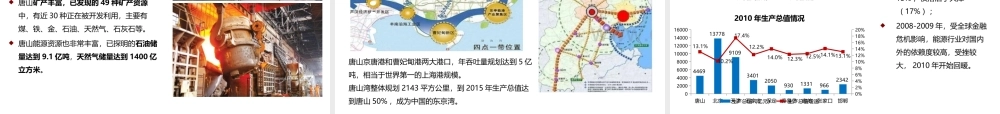 XXXX年唐山凤凰新城项目定位研究1
