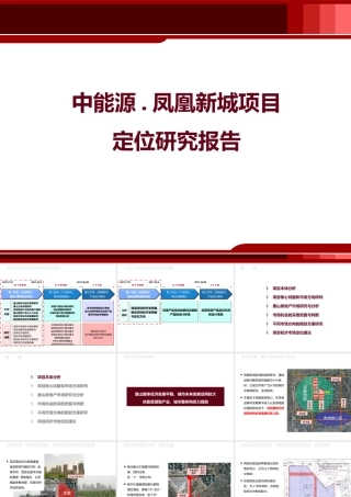 XXXX年唐山凤凰新城项目定位研究1