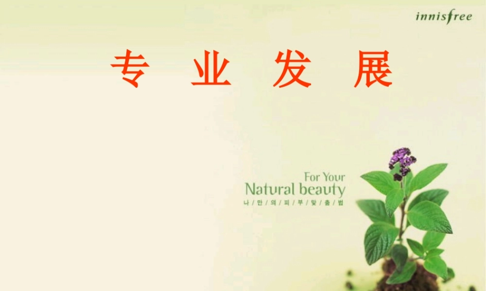 专业发展概述