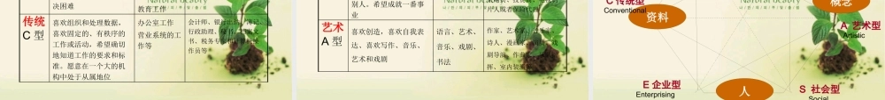 专业发展概述