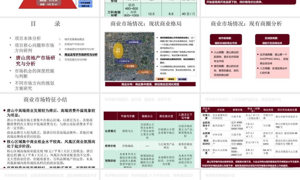 XXXX年唐山凤凰新城项目定位研究3