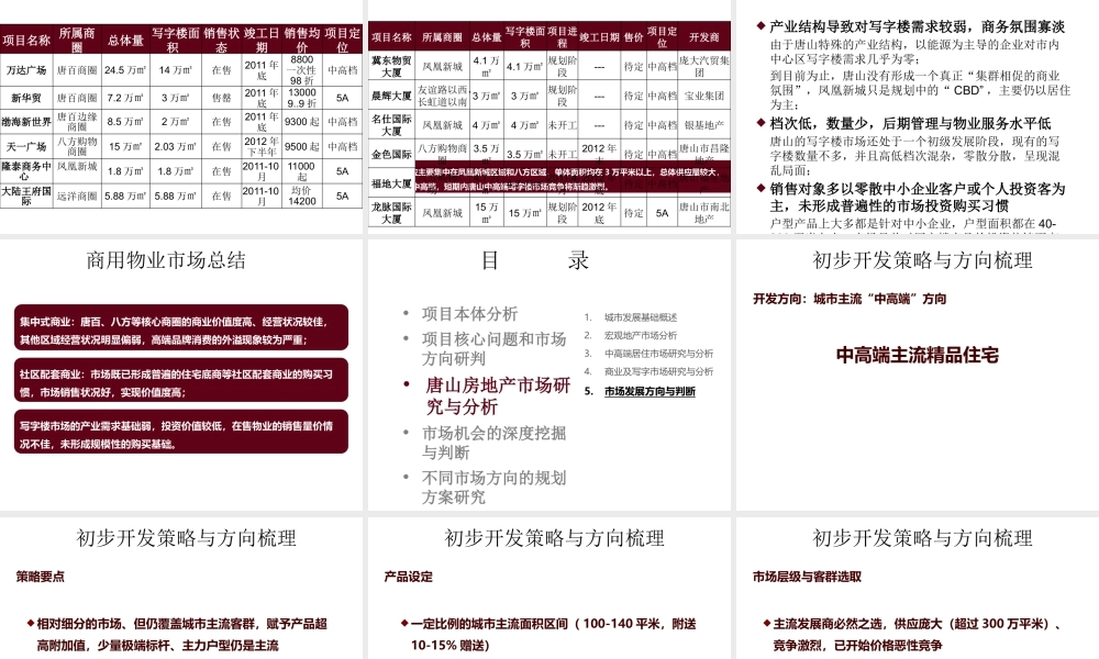 XXXX年唐山凤凰新城项目定位研究3