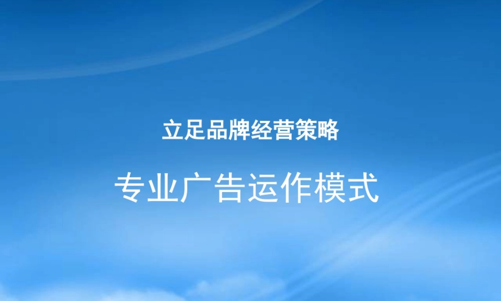 专业广告运作模式
