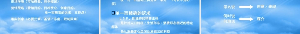 专业广告运作模式