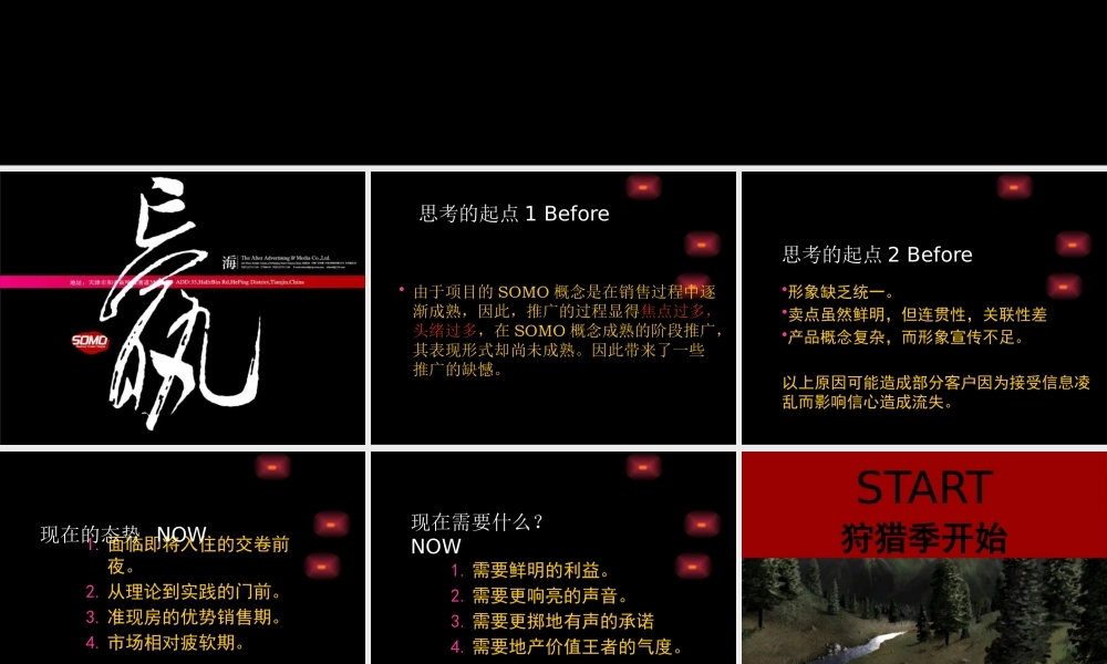 XXXX年天津港湾中心尾盘推广策划案