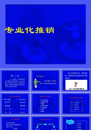 专业化销售流程(1)