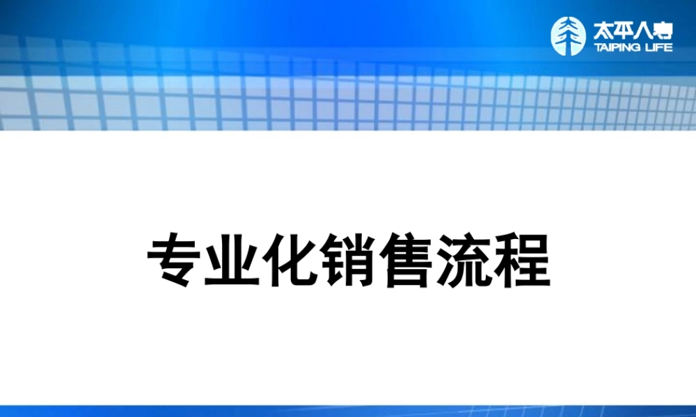 专业化销售流程（PPT32页)