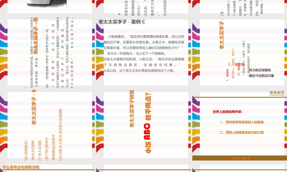 专业化销售流程(PPT57页)