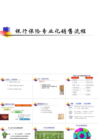 专业化销售流程(新)