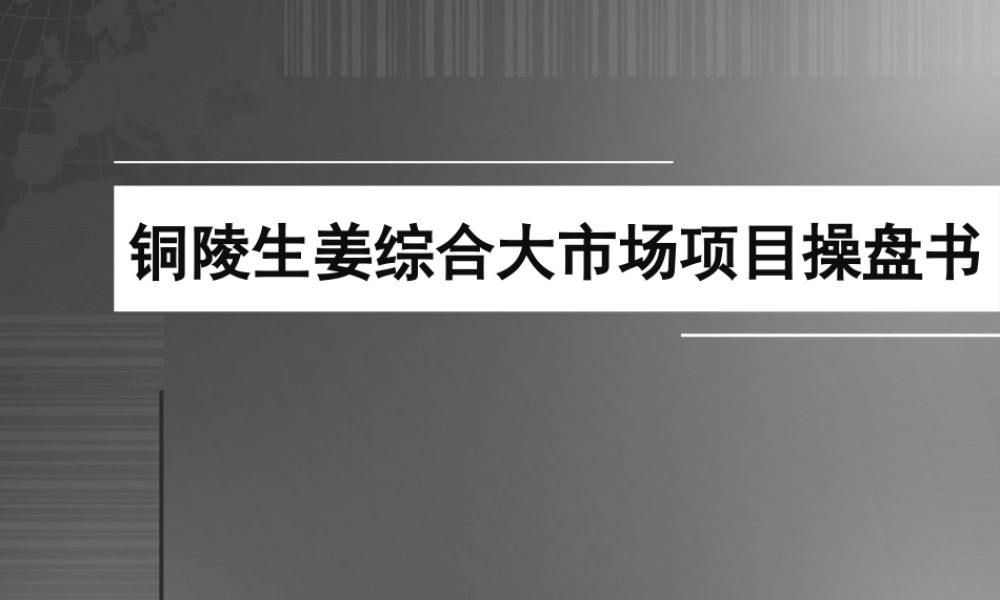 XXXX年铜陵生姜综合大市场项目操盘书