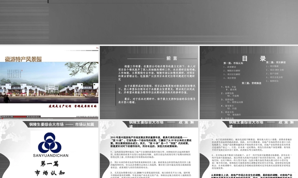 XXXX年铜陵生姜综合大市场项目操盘书