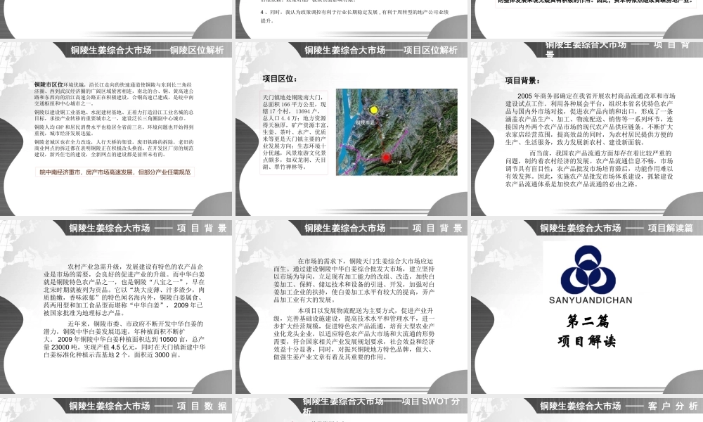 XXXX年铜陵生姜综合大市场项目操盘书
